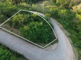 Tanah murah dekat pantai areguling Lombok. Cocok untuk villa