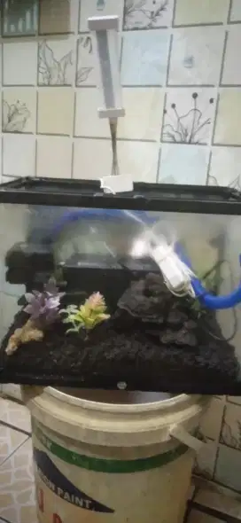 Aquarium akrilik