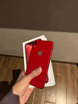 iphone xr 64 regis