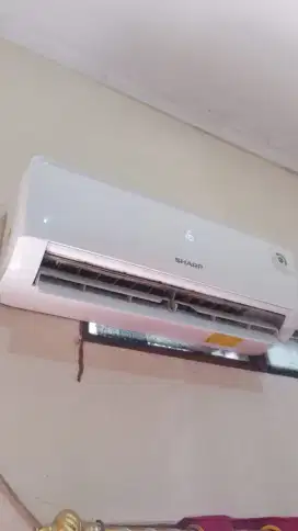 Ac Sharp 1/2 pk