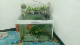 Jual aquarium ukuran 60x40/ 40x40