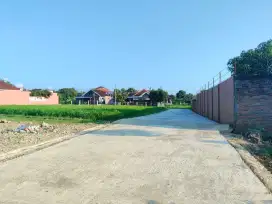 Tanah Murah Utara Pasar Bejen, Dekat Jln Raya