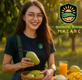Buah Mangga Harum Manis lokal 500 gr / 1 kg
