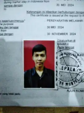 Info loker dong buat supir pribadi klo ada klo gk ada apa ajh siap