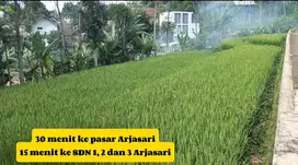 Tanah kebun di Wanasari Arjasari banjaran,shm