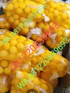 Jual Telur Ayam Pecah cair dan beku