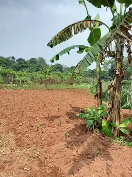 Djual tanah  kavlinh di Japan Parung  Raya  Bogor Jawa Barat