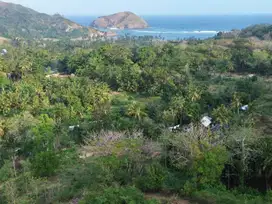 Tanah murah dekat pantai areguling Lombok. Cocok untuk villa