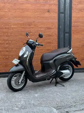 Honda scoopy 2023 plat r pajak on bagus