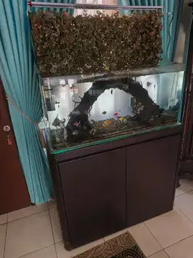 Aquarium ex Import, kaca tanpa sambungan