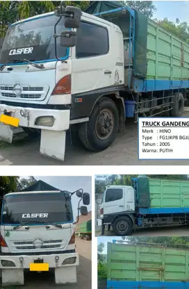 Hino kepala gandeng