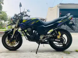 Tiger 2000 pajak panjang