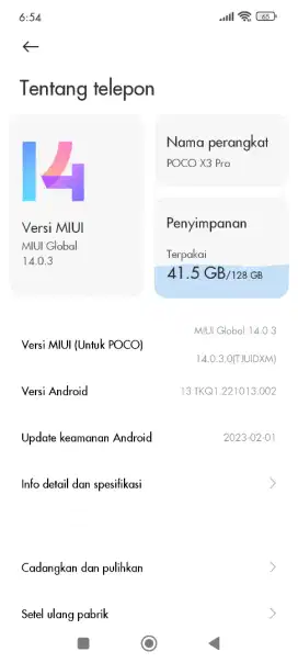 poco x3 pro 6/128
