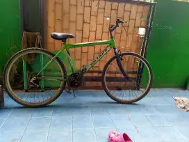 Sepeda gunung ring 26 genio salzburg