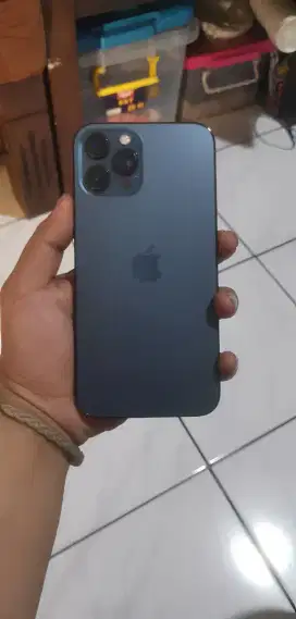 iphone 12 promax murahh