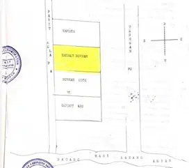 TANAH DIJUAL 4 HEKTAR UNTUK SAWIT ATAU DERMAGA