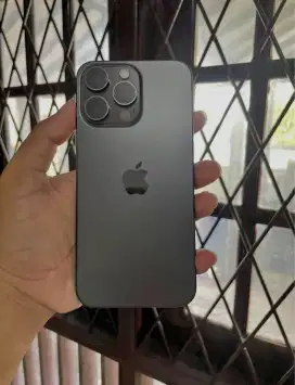 iPhone 15 Promax 1TB GB inter