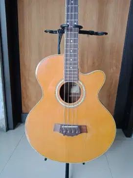 Bass akustik usa vintage