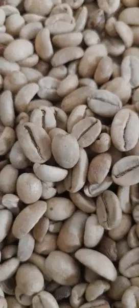 Aneka biji kopi