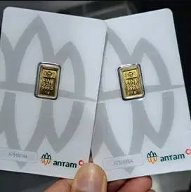 EMAS ANTAM RED DOT CERTIEYE