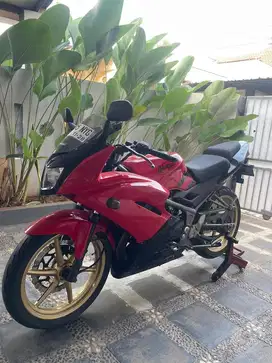 JUAL NINJA RR NEW