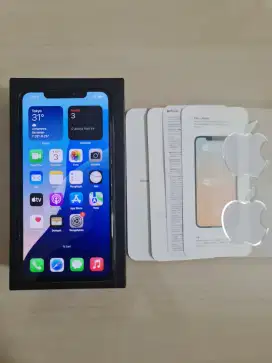 Iphone 11 Pro Max 256Gb