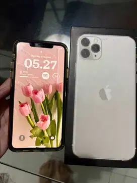Iphone 11 Pro Max 256gb