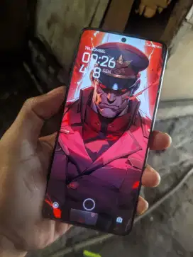 Poco x6 5G 8/256GB hp carger