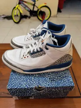 Air Jordan 3 Wizards