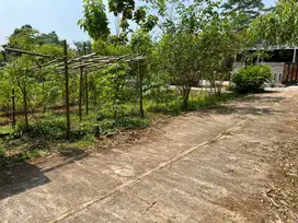 Dijual tanah SHM atas nama sendiri luas 242m2 di Patemon, Gunungpati,