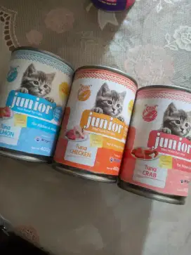 wet food junior kucing kitten