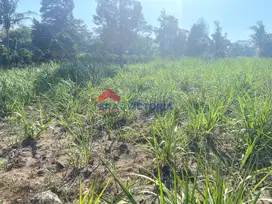 Jual Tanah SHM 14440m2 di Ngancar Kab Kediri Akses Jalan Aspal