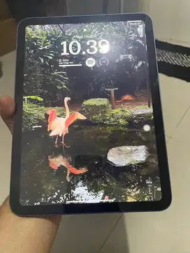 Ipad gen 10 64Gb ex iBox