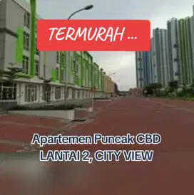 Termurah ! Dijual apartemen Puncak CBD Wiyung