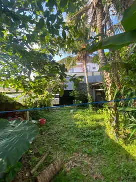 Dijual tanah daerah kediri tabanan 360/are nego!