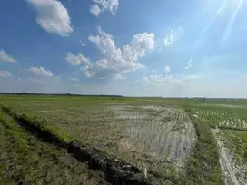 KELURAHAN KATUR, KECAMATAN GAYAM, KABUPATEN BOJONEGORO