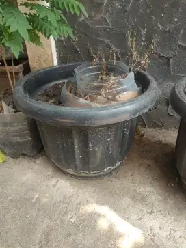 Pot bunga 50cm+ tatakan bawah