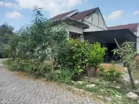 KELURAHAN KUNCI, KECAMATAN DANDER, KABUPATEN BOJONEGORO
