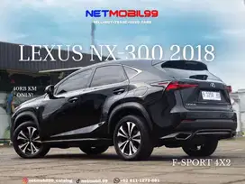 Lexus NX300 2018 Bensin