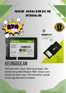 Ssd Digirich Sata 256Gb