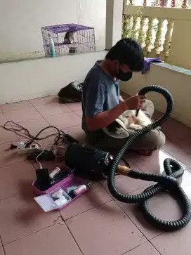 Groming Panggilan murah