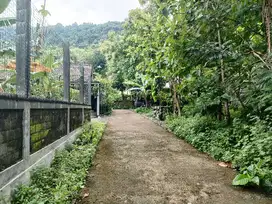 Dijual tanah pekarangan di prambanan timur suasana kawasaan pedesaan