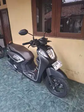 Honda Genio fabulous tahun 2024