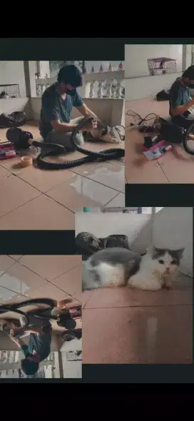 Groming  Panggilan Termurah