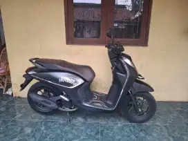 Honda Genio fabulous tahun 2024