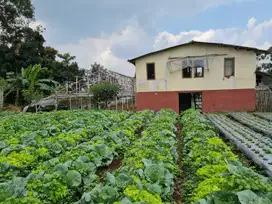 Dijual MURAH Tanah 3000 m strategis siap bangun di Lembang, Bandung