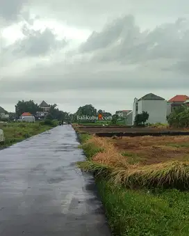 Promo | Sewa 20 Th Tanah Kavling View Sawah Strategis di Sedap Malam