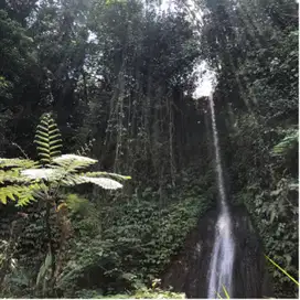 Air Terjun view sawah di Bali jarang ada