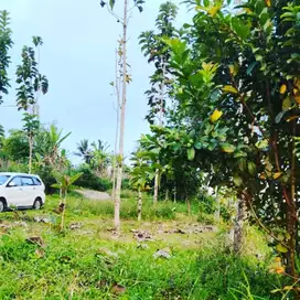 Tanah view Bukit Dan gunung di tabanan