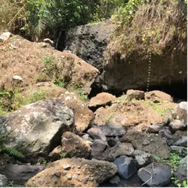 Kebun Los sungai Ada air terjun di tabanan